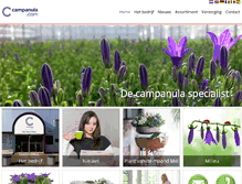 Tablet Screenshot of campanula.com